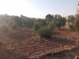 قطعةٌ صغيرةٌ من الارضِ ليست معروضة للبيع