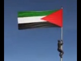 تقاسيم على صبا تشرين - جواد بولس